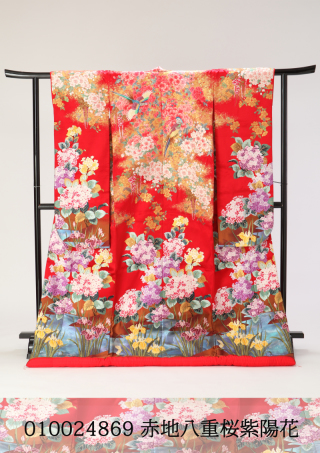 赤地八重桜紫陽花