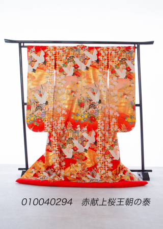 赤献上桜王朝の泰