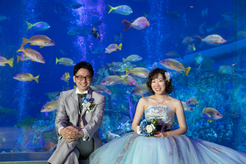 *ロケ:鳥羽水族館*