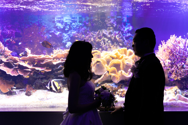 ＊ロケーション：鳥羽水族館＊