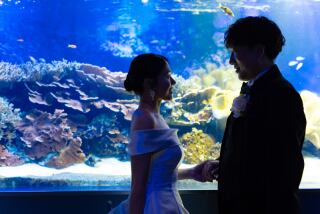 ＊ロケスタ：鳥羽水族館＆スタジオ和装＊