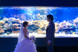 ＊鳥羽水族館フォト＊