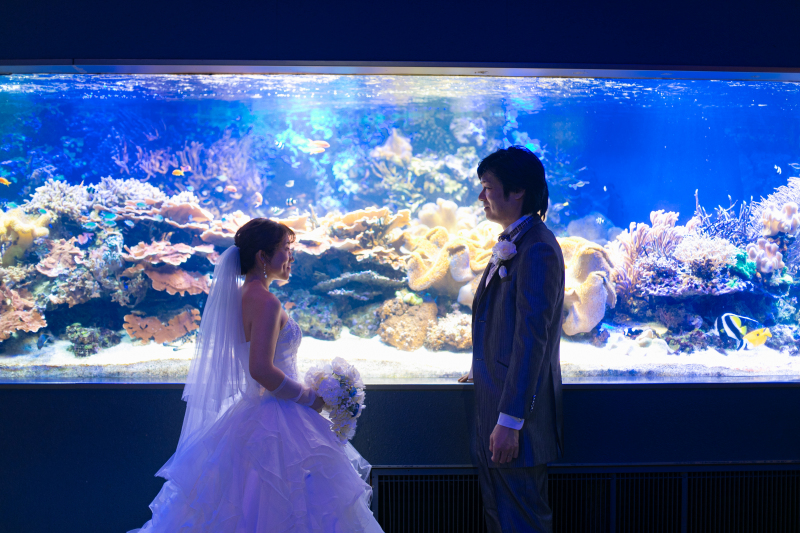 ＊鳥羽水族館フォト＊