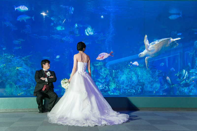 ＊ロケ：鳥羽水族館＊