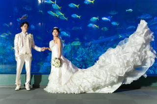 ＊ロケ：鳥羽水族館＊