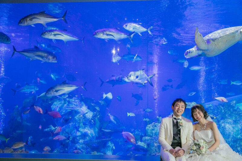 メインの水槽前