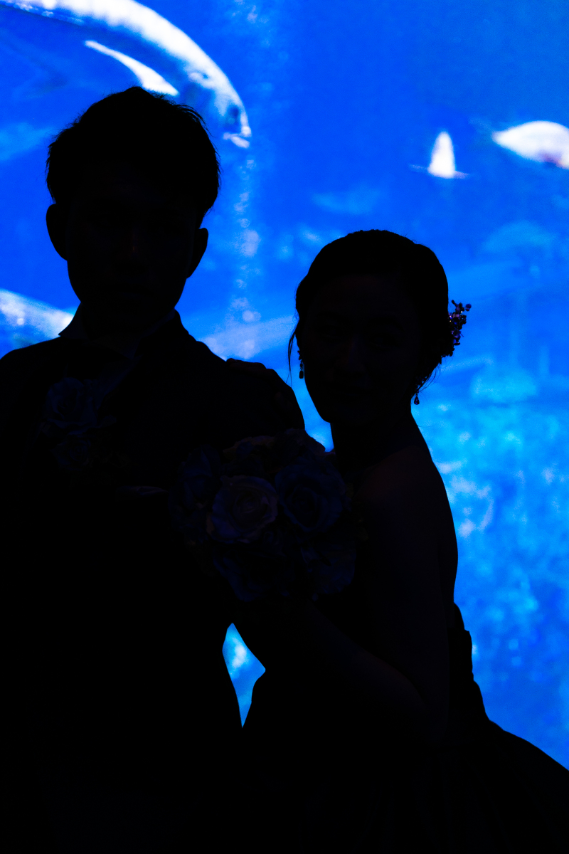 シルエット写真♡