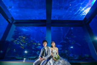 ＊ロケ：鳥羽水族館＊