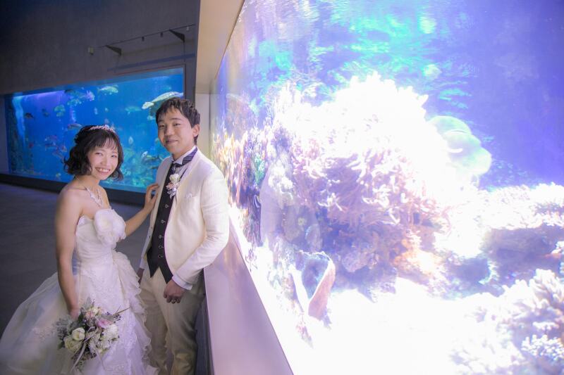 寄り添った一枚