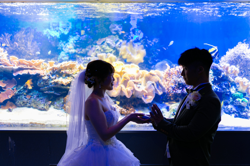 ＊ロケ：鳥羽水族館＊