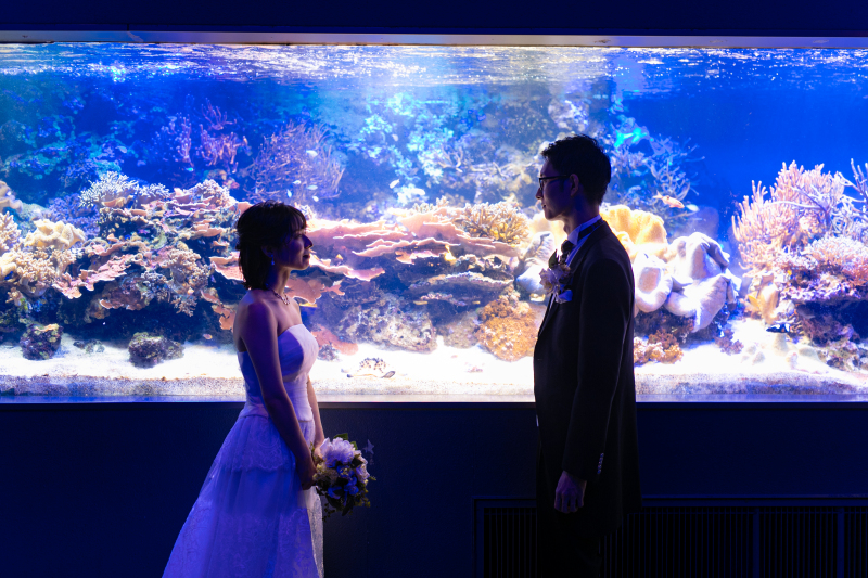 ＊ロケ：鳥羽水族館＊