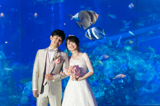 ＊ロケ：鳥羽水族館＊