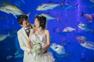 ＊鳥羽水族館ロケーションフォト＊