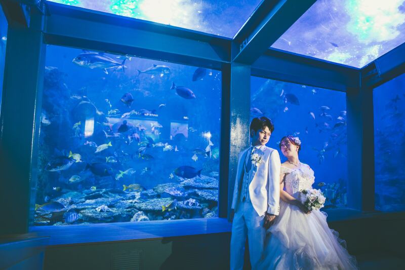 青が鮮やかな水槽ショット