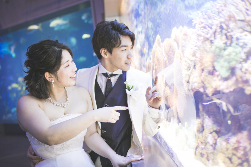 魚たちを見ているほほえましい一枚