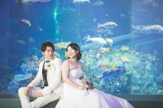 三重の観光名所。鳥羽水族館で貸切撮影