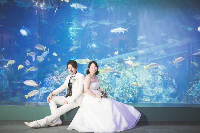 色とりどりのたくさんの魚と♡