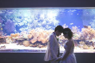 MaiBRIDE　津／ノードダモーレ　津