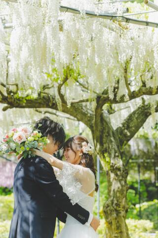 MaiBRIDE　津／ノードダモーレ　津_【藤の花×ウェディングドレス】