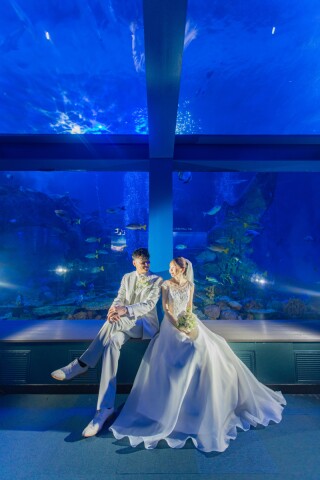 MaiBRIDE 津/ノードダモーレ 津_Location(鳥羽水族館)