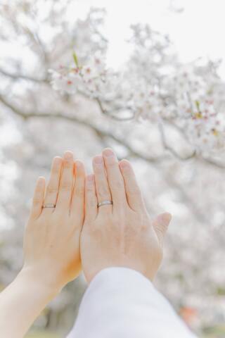 MaiBRIDE　津／ノードダモーレ　津_Location（安濃中央総合公園）