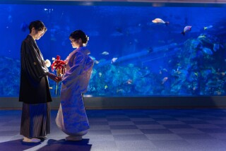 MaiBRIDE　津／ノードダモーレ　津_Location(鳥羽水族館)