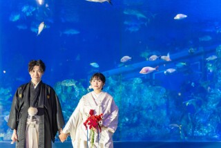 MaiBRIDE　津／ノードダモーレ　津_Location(鳥羽水族館)