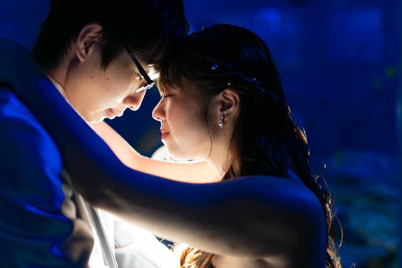 【水族館×スタジオプラン】ロケスタ全データプラン！