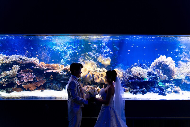 【当館大人気プラン！】鳥羽水族館シンプルパックプラン