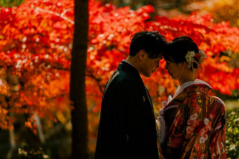【まだ間に合う!11月末〜12月上旬撮影限定】深紅と黄金に彩られた和装紅葉ロケーション撮影