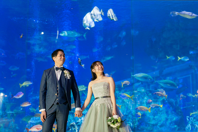 【当館大人気プラン！】鳥羽水族館シンプルパックプラン