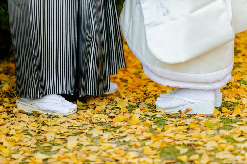 【まだ間に合う!11月末〜12月上旬撮影限定】深紅と黄金に彩られた和装紅葉ロケーション撮影