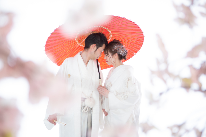 【データが欲しい方には必見】洋装・和装全データプラン！