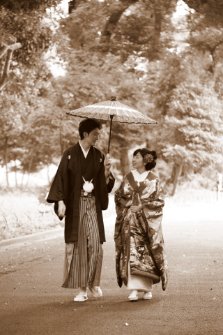 スタジオ+いちょう並木