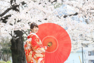 春らしいロケーションで