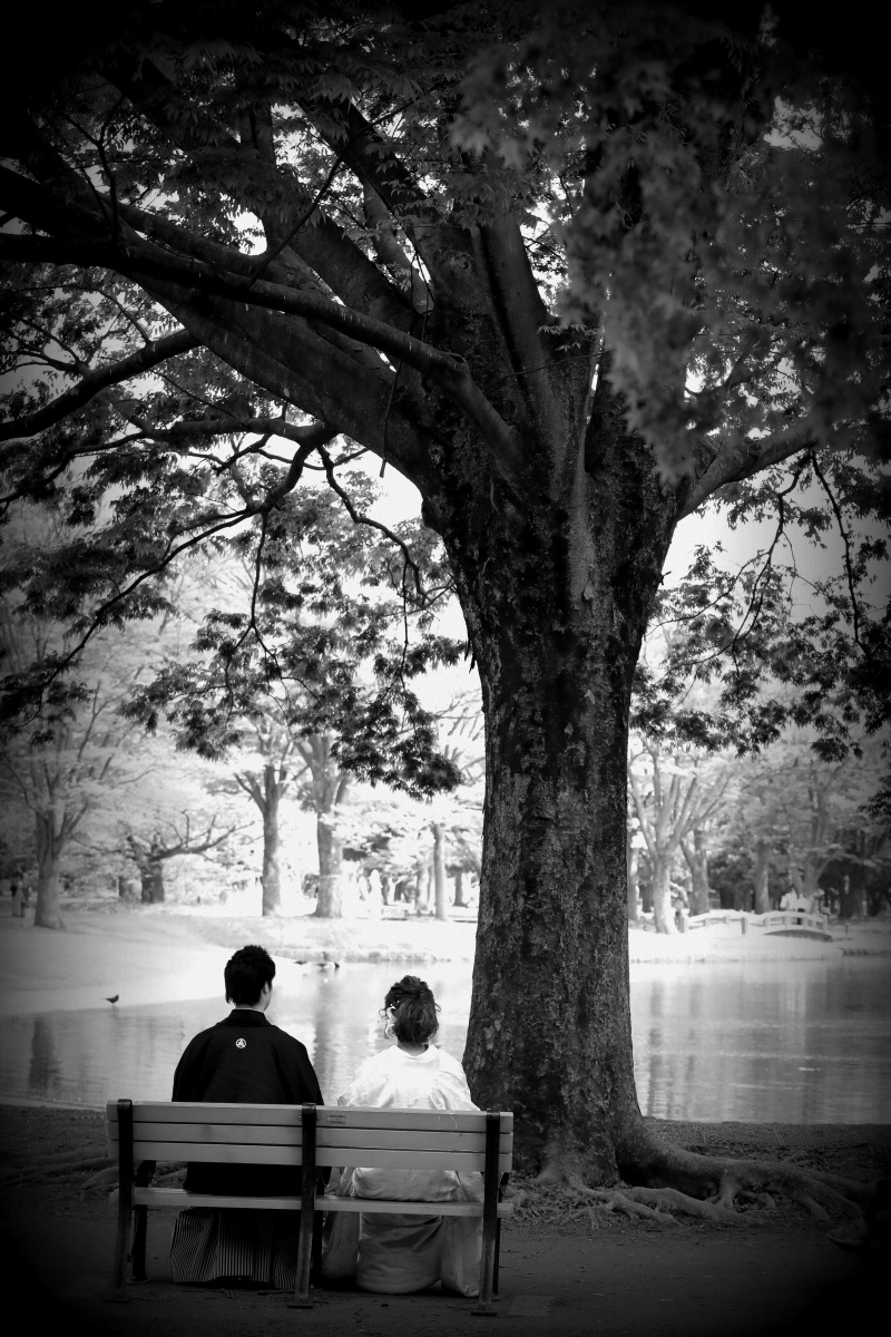 アートの世界観。