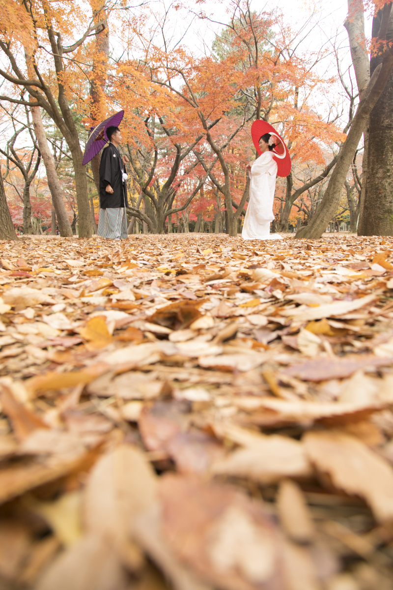 秋のおおすすめロケーション。