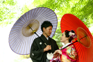 初夏を鮮やかに♪