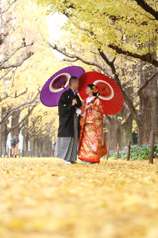 銀杏並木～スタジオ撮影♪