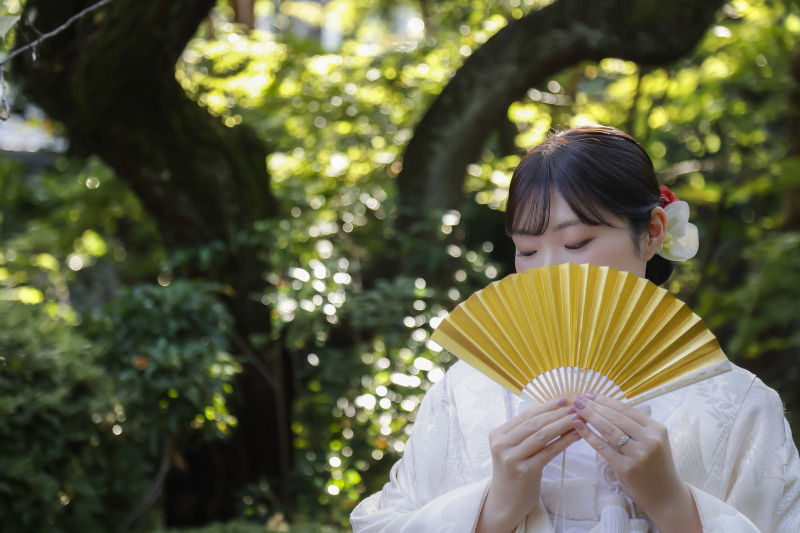 扇に宿る静けさ