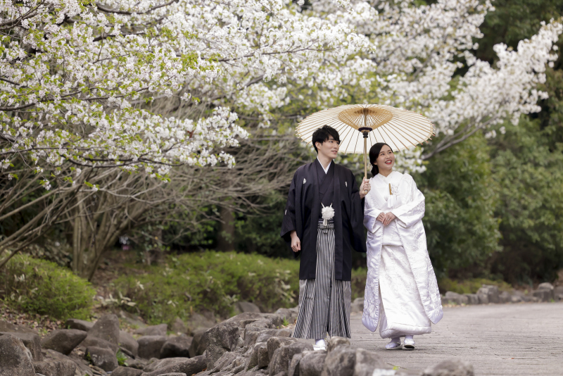 ソロカットやお散歩シーンも