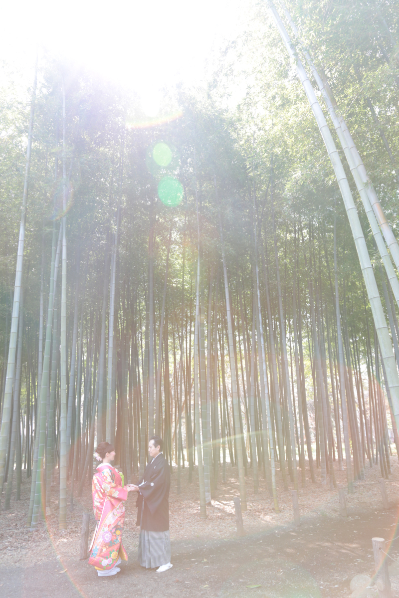 映画の中にいるような