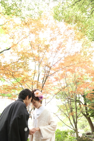 秋色ロケーション。