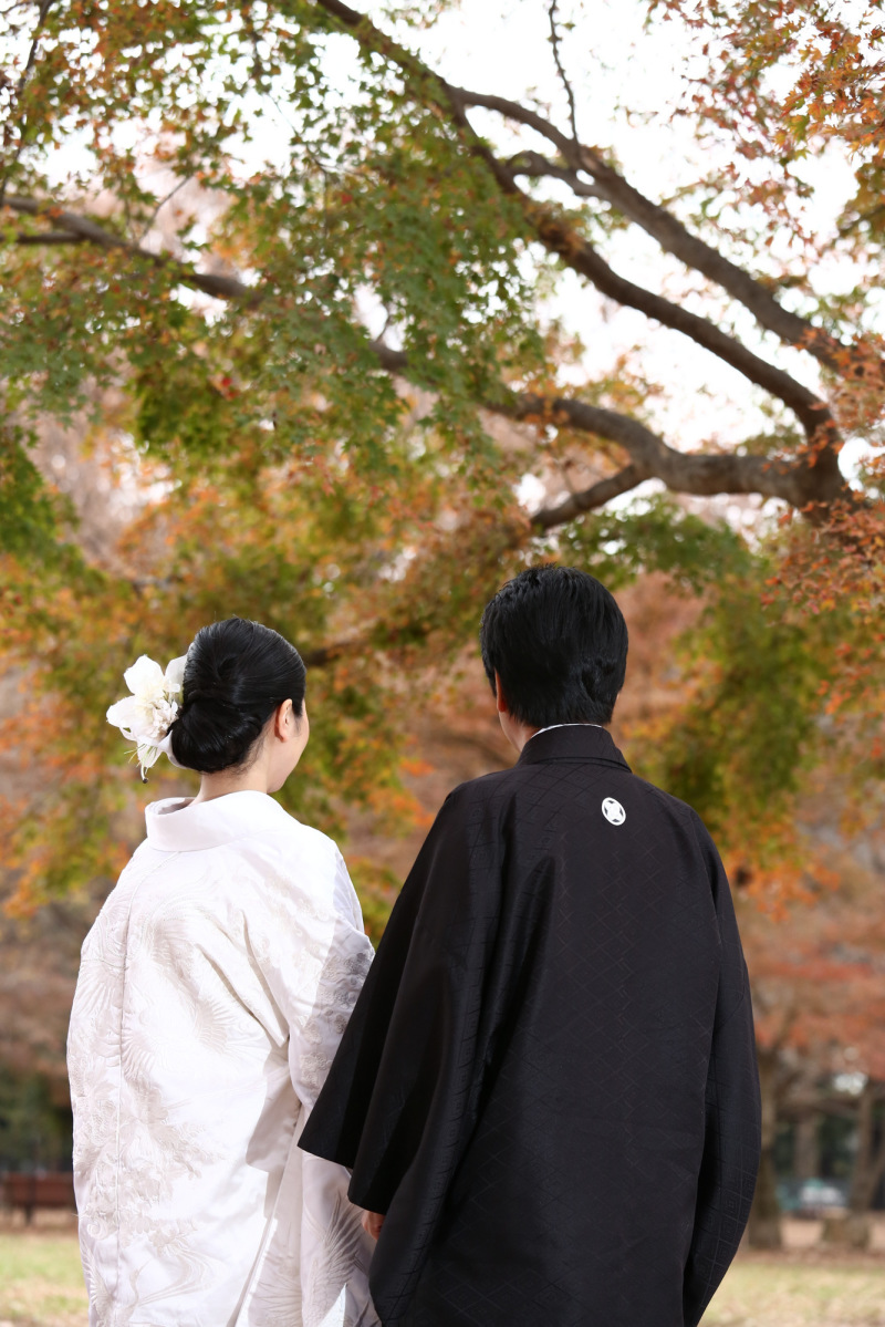 あえて見せない