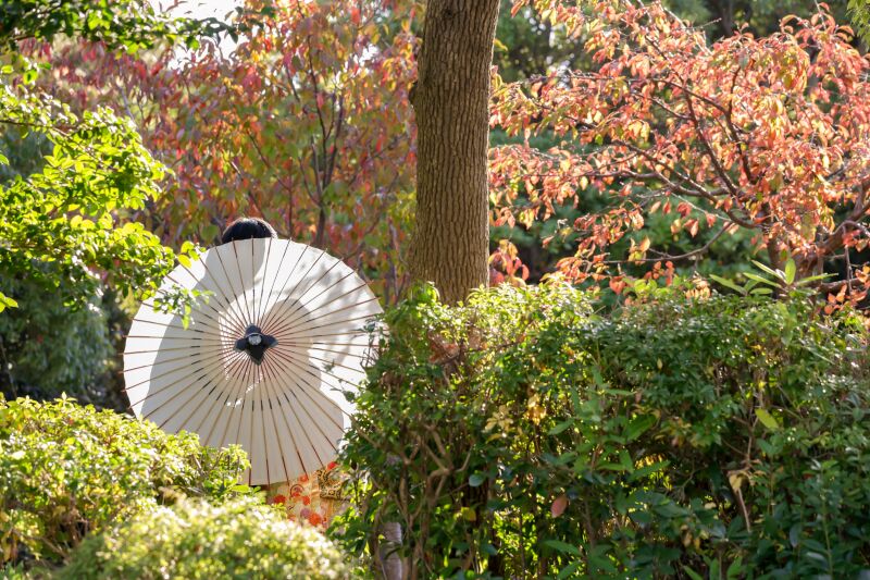 番傘シルエット