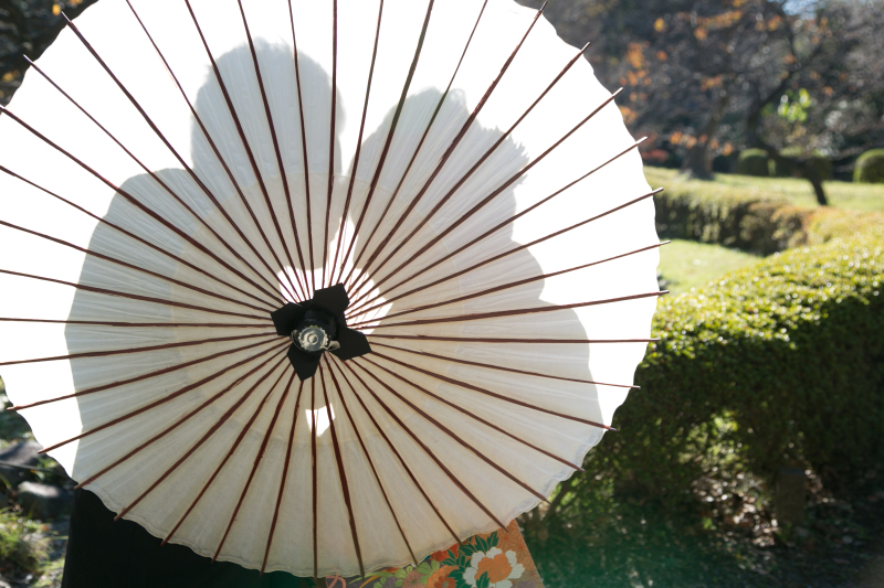 シルエット写真