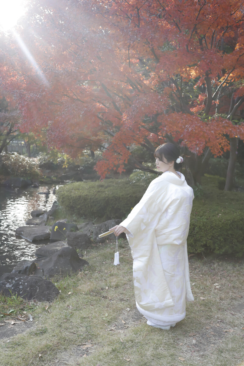 紅葉に導かれて