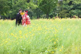 ４月上旬 浜離宮