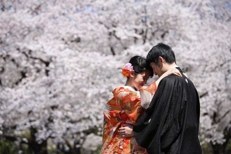 さくらさくら！