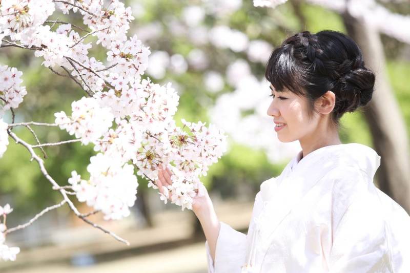 桜と新婦